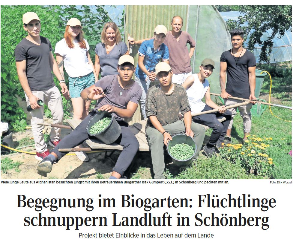 Presseartikel: Begegnung im Biogarten - Flüchtlinge schnuppern Landluft in Schönberg Presseartikel: Begegnung im Biogarten - Flüchtlinge schnuppern Landluft in Schönberg